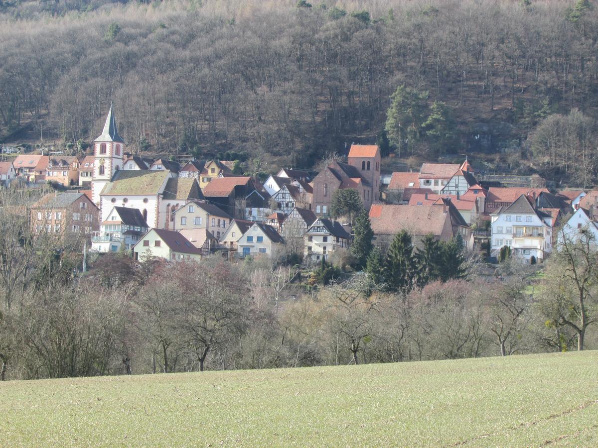 Gite L'Instant Durable Oberbronn 외부 사진